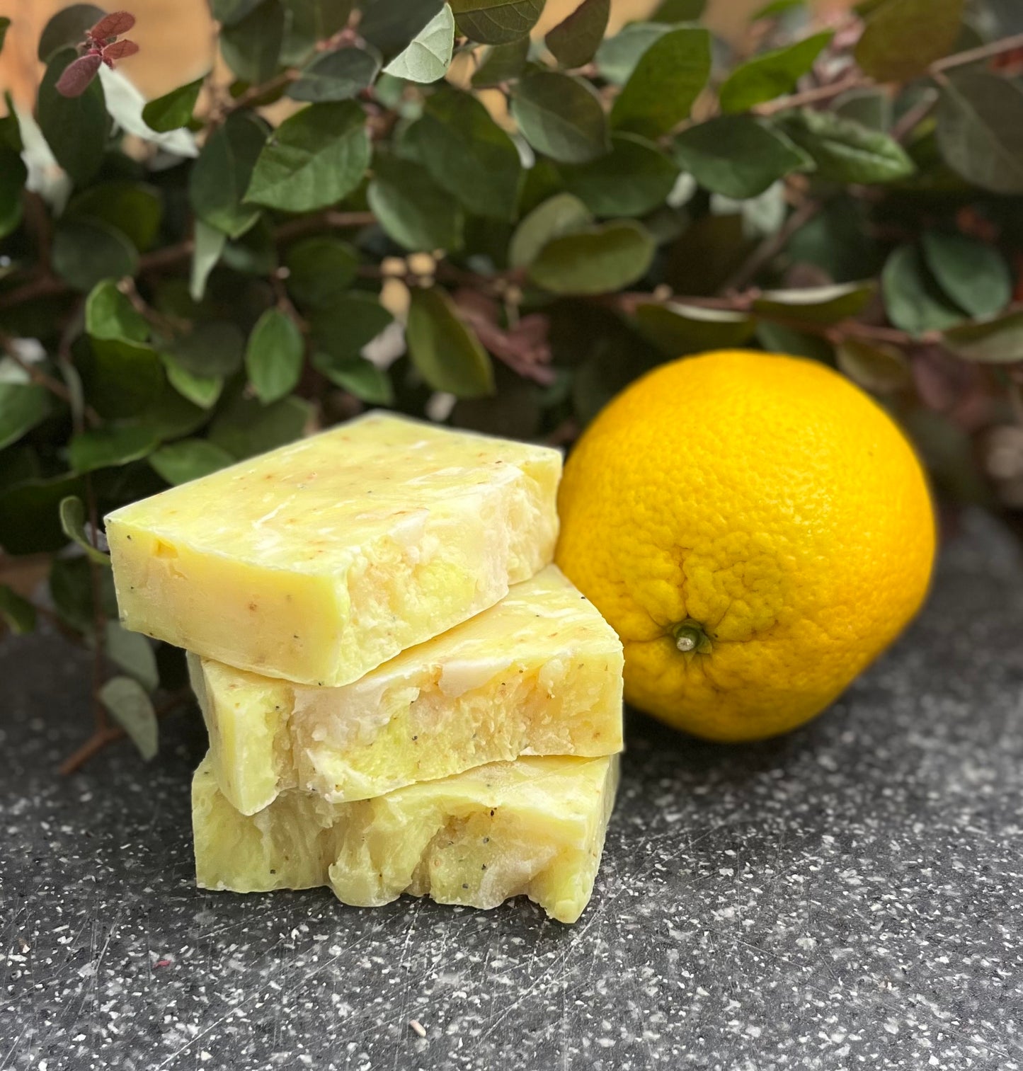 Lemon Poppyseed