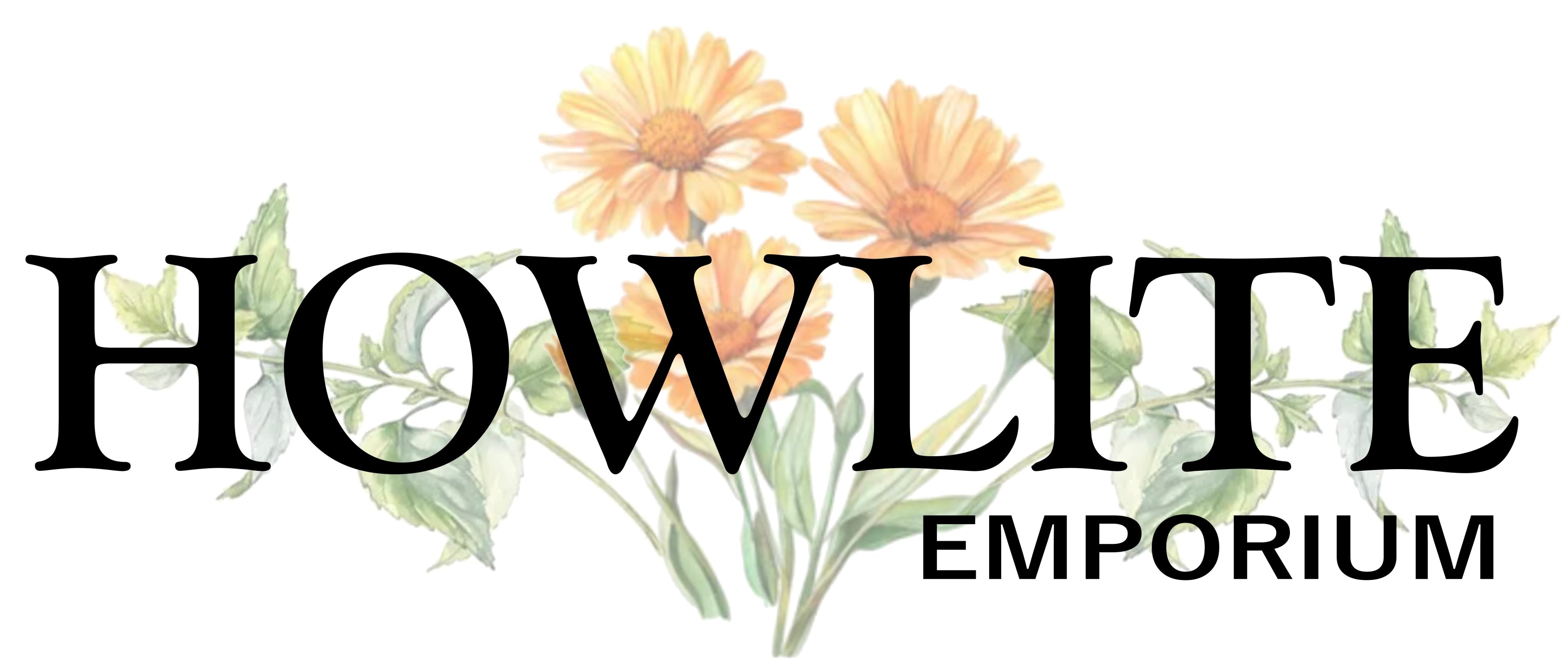 Howlite Emporium