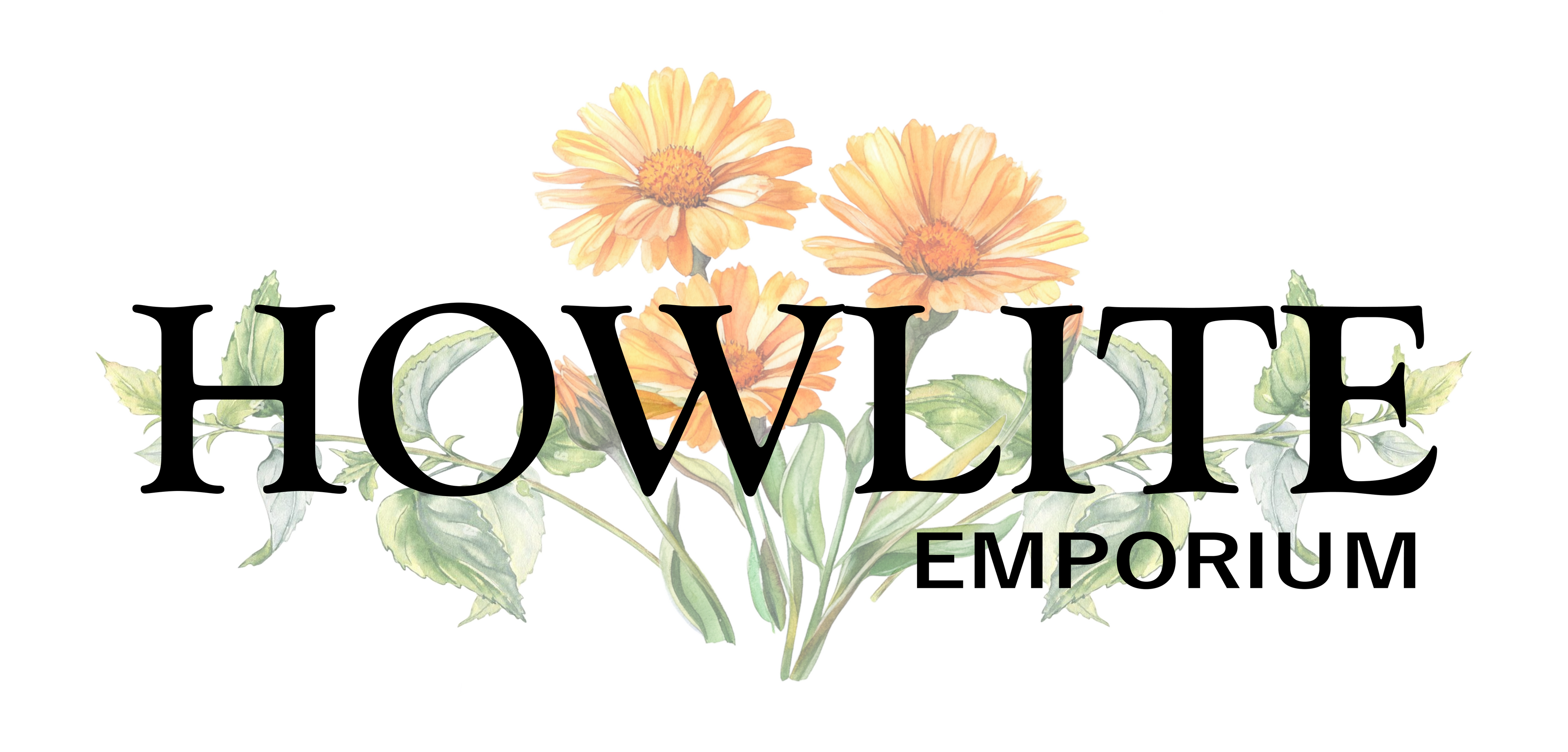 Howlite Emporium